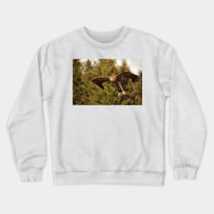 Vulture Crewneck Sweatshirt